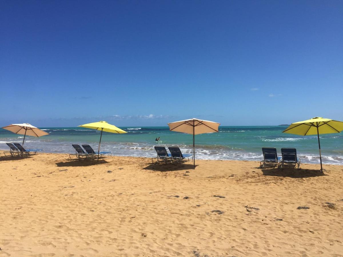 Blue Leaf By The Sea Apartment ลูควิโญ ภายนอก รูปภาพ